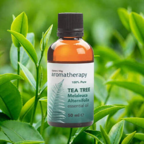 The Aromatherapy Tea Tree Essential Oil 50 mL: Pure, potent, and versatile. Elevate your well-being with the invigorating essence of tea tree oil.